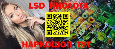 spice Новодвинск