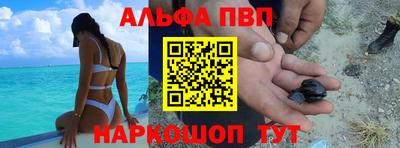 spice Новодвинск