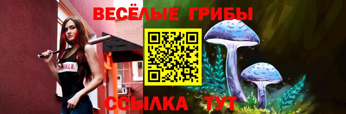 дарнет шоп  Псилоцибиновые грибы мицелий  Псилоцибиновые грибы мицелий  Вход с VPN  Соликамск 